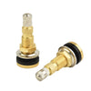 Auto Valve Stem Pack / 2 x 1-7/8" / Air Liquid Tubeless Copper
