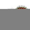 Kymco Xciting 250 / 250i, Dink 250, People 250 Alternator Stator (2006-2017)