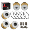 Honda CRF250R CRF250RX Oil Filter O-Ring Spring (2019–2024)