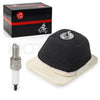 Yamaha TTR125LE Air Filter Element & Spark Plug