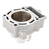Gas Gas Cami EC 250, AJP PR5 250, Zongshen NC 250 250cc Cylinder Kit
