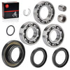 Honda TRX500 Foreman / Rubicon 2001-2004 Rear Differential Bearing & Seal