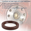 Honda Legend (2006-2012) 1 Pc Crankshaft Oil Seal