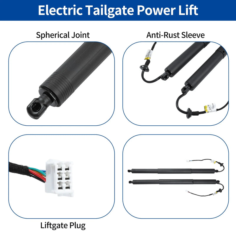 Toyota Highlander Tailgate Power Lift Support LH RH (2021-2023)