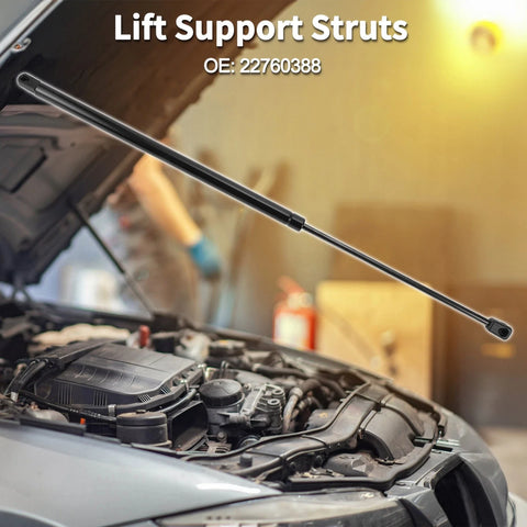 Buick Enclave Chevrolet Traverse Front Hood Lift Supports Struts (2009–2023)