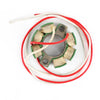 Honda CR125 R CR250 R CR500 R Stator (1984-1986)