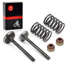 Club Car DS Precedent Golf Cart FE290 Valve Seal Kit (1992–2026)