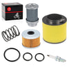 Honda FourTrax 300 Air Filter Air Cleaner Body Oil Filter Spring (1988–2000)