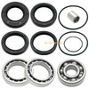 Honda TRX300FW Rear differential bearings seals kit (1988–2000)