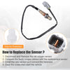 Hyundai Veloster 1.6L L4 Gas Rear Downstream Oxygen Sensor (2012-2017)