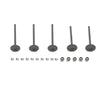 Yamaha YFM 660 Raptor / Grizzly Exhaust & Intake Valve Kit (2001-2008)