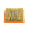 BMW C400 GT, C400 X Air Filter (2018-2024)