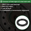 Ford Fiesta Front Crankshaft Oil Seal (2011-2017)