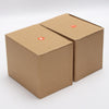 BMW E36 3 Series Sedan M3 Clear Corner Turn Signal Lamp (1992–1999)