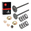 Yamaha G22 / G23 YDRA Intake Exhaust Valve & Seal SPRING (1996–2011)