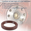 Toyota Corolla Front Crankshaft Oil Seal 1 Pc (1983–2013)
