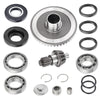 Honda Recon 250 / Sportrax 250 / TRX250X Rear Diff Gears (1997–2011)