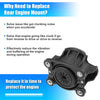 Honda Accord Engine Motor Mount Bracket Front (2013-2015)