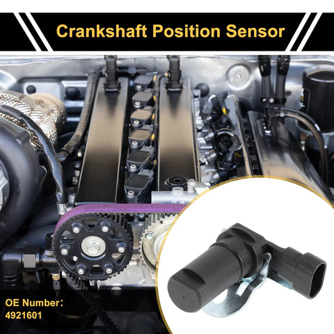 Dodge Ram Crankshaft Position Sensor CKP (1998-2002)