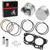 EZGO Golf Cart Rebuild Kit 295cc Robin 0.25mm Oversized (1991–1995)