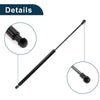 Toyota Prius Rear Hatch Lift Supports (2001-2009)