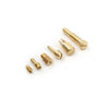 Polaris Xplorer 300 Carburetor Rebuild Kit (1996-1999)