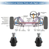 Ford F-150 Front Lower Ball Joints (2005-2008)