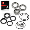 Honda TRX300FW Rear Axle Bearings and Seals Kit (1988–2000)