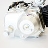 PIT QUAD DIRT BIKE ATV DUNE BUGGY 125cc Semi Auto Reverse Engine Motor