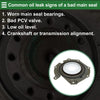 Ford Focus Rear Crankshaft Oil Seal (2000-2011)