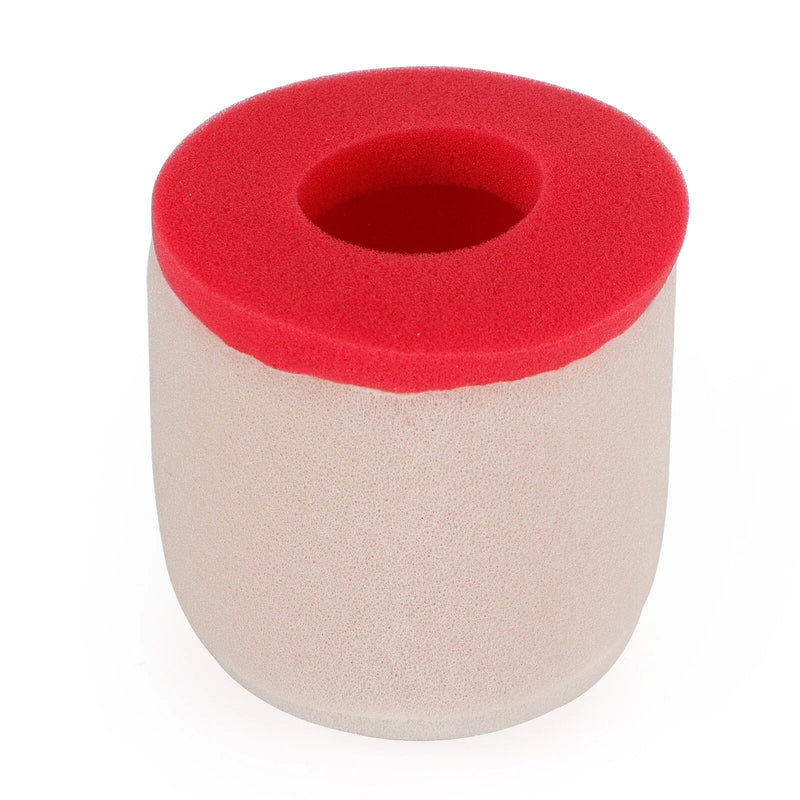 Freeride 350 Air Filter (2012-2017)