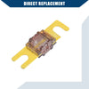 Car Motorcycle Audio - Gold Tone 5 x Mini ANL 175A Fuses (N/A)
