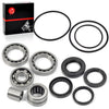 Honda TRX300 Rear Differential Bearings Seals Kit (1990-2000)