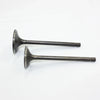 ZS CB PIT PRO TRAIL QUAD DIRT BIKE ATV 250cc Engine Head Intake Exhaust Valves