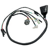 Honda Sportrax 300 TRX300EX Wiring Harness 2x4 (1993–2004)