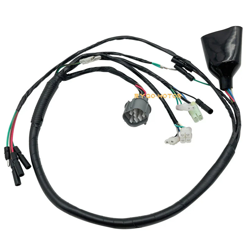 Honda Sportrax 300 TRX300EX Wiring Harness 2x4 (1993–2004)