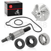Yamaha YZ450F Water Impeller Shaft Bearing Seal Kit (1998–2024)