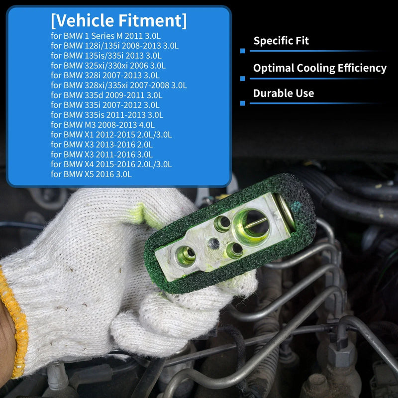 BMW 1 Series M A/C Expansion Valve 1 Pc (2011)