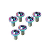 Bike Motorcycle 6 x M5x30mm Alloy Torx Head Screws