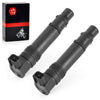 Kawasaki Z1000 / Ninja ZX-9R Set of 2 Ignition Coils (2003-2013/1998-2003)