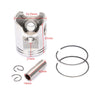 Yamaha YW YQ YN 100 BWS Aerox Neos Ovetto Piston Complete Kit 52.25mm (99-03)