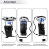 Chevrolet Malibu & Pontiac G6 Fuel Pump Assembly 2.4L (2009)