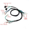 Honda FourTrax 250 TRX250R Drag Wiring Harness 2x4 (1986–1988)