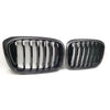 BMW X3 G01 X4 G02 2018-2021 REAL Carbon Fiber Front Bumper Grille
