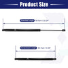 Ford Edge Rear Trunk Lift Supports (2007-2014)