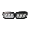 BMW X5 E70, X6 E71 Diamond Grille Front Bumper Kidney (2007-2013)