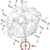 Peugeot 3008 408 508, Citroen C4 C5 DS5 Gearbox Oil Drain Screw (2008-2023)