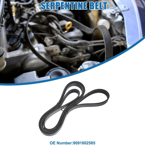 Chevrolet Corvette Serpentine Belt V-Ribbed Belt
