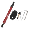 Dodge Ram 1500 Car Tailgate Lift Support Gas Spring Set (2019-2023)