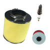 Recon TRX250TM Air Service Kit